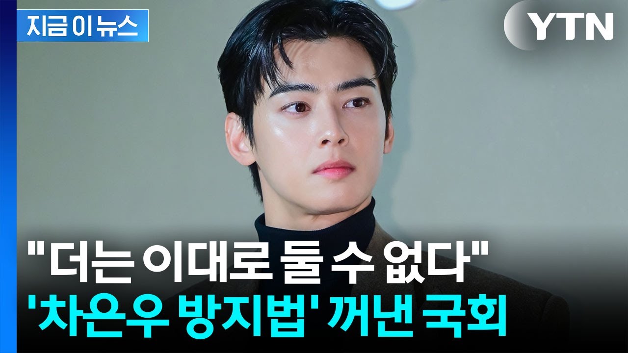 チャウヌ防止法とは？わかりやすく解説。脱税疑惑から生まれた新法の正体